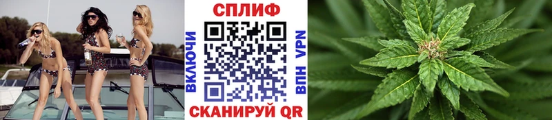 Наркошоп купить Амфетамин  Марихуана  Альфа ПВП  Гашиш  МЕТАМФЕТАМИН  Cocaine  Меф  Пошехонье