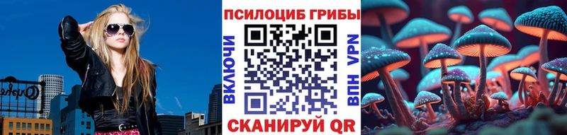 Галлюциногенные грибы Psilocybine cubensis  Купить где  Пошехонье 